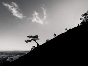 Leadership Resilience Through Adversity