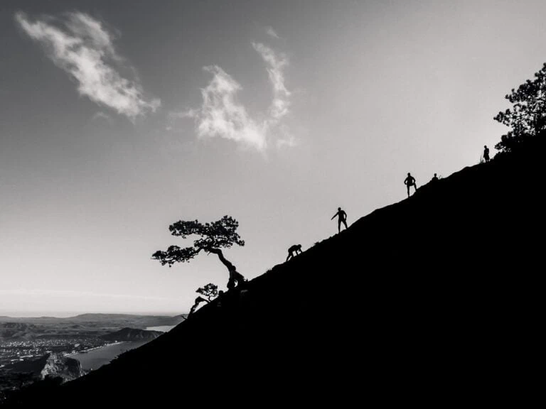 Leadership Resilience Through Adversity