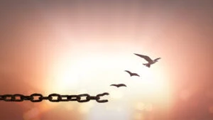 broken chain that turns into birds flying free