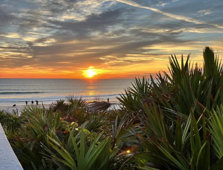 morning sunrise in jacksonville fl