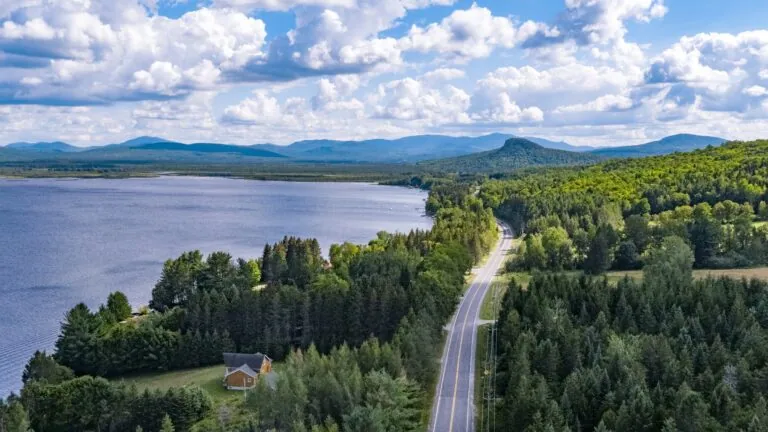 Aerial view of a winding road through a lush green forest beside a large lake with mountains in the background under a partly cloudy sky.
